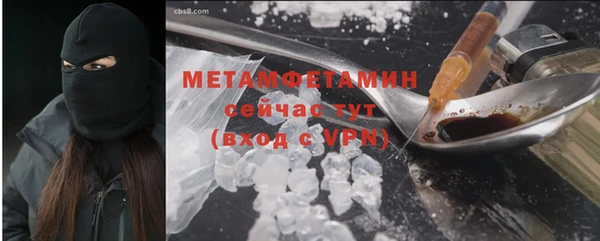 твердый Вяземский
