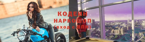 твердый Вяземский