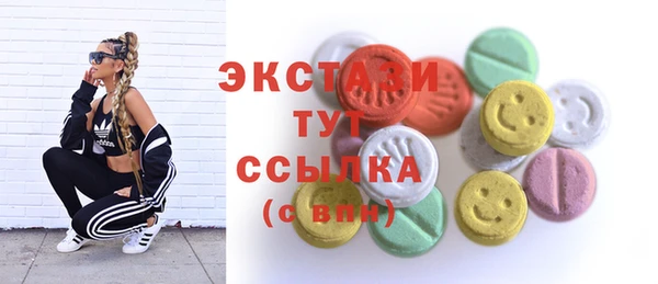 твердый Вяземский