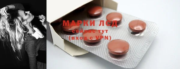 твердый Вяземский