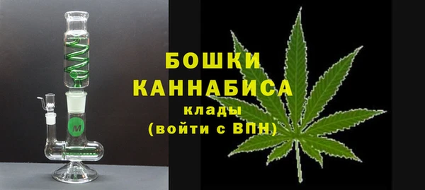 ГАЛЛЮЦИНОГЕННЫЕ ГРИБЫ Вязьма