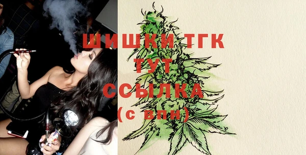 ГАЛЛЮЦИНОГЕННЫЕ ГРИБЫ Вязьма