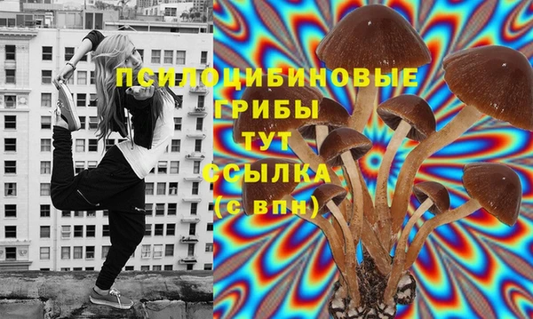 ГАЛЛЮЦИНОГЕННЫЕ ГРИБЫ Вязьма