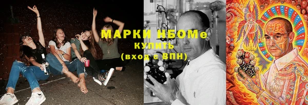 ГАЛЛЮЦИНОГЕННЫЕ ГРИБЫ Вязьма