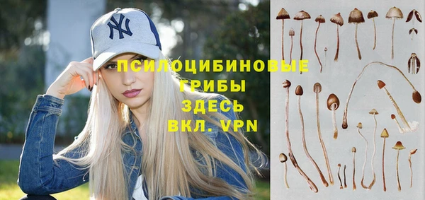 твердый Вяземский
