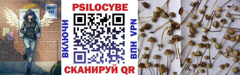 Купить где  Лахденпохья  Галлюциногенные грибы Psilocybine cubensis 